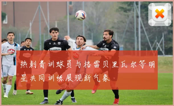 热刺青训球员与格雷贝里瓦尔等明星共同训练展现新气象